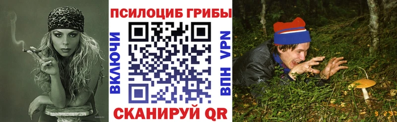 наркотики Давлеканово Псилоцибиновые грибы Magic Shrooms